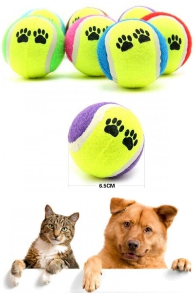 3'LÜ KÖPEK EĞİTİM TOPU